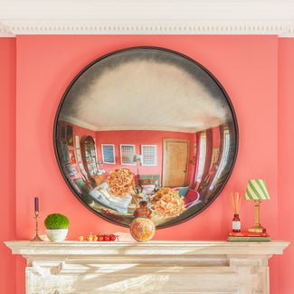 Larger Grouper convex mirror