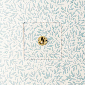 Lucian perspex one gang 2-way toggle switch in clear perspex and aged brass